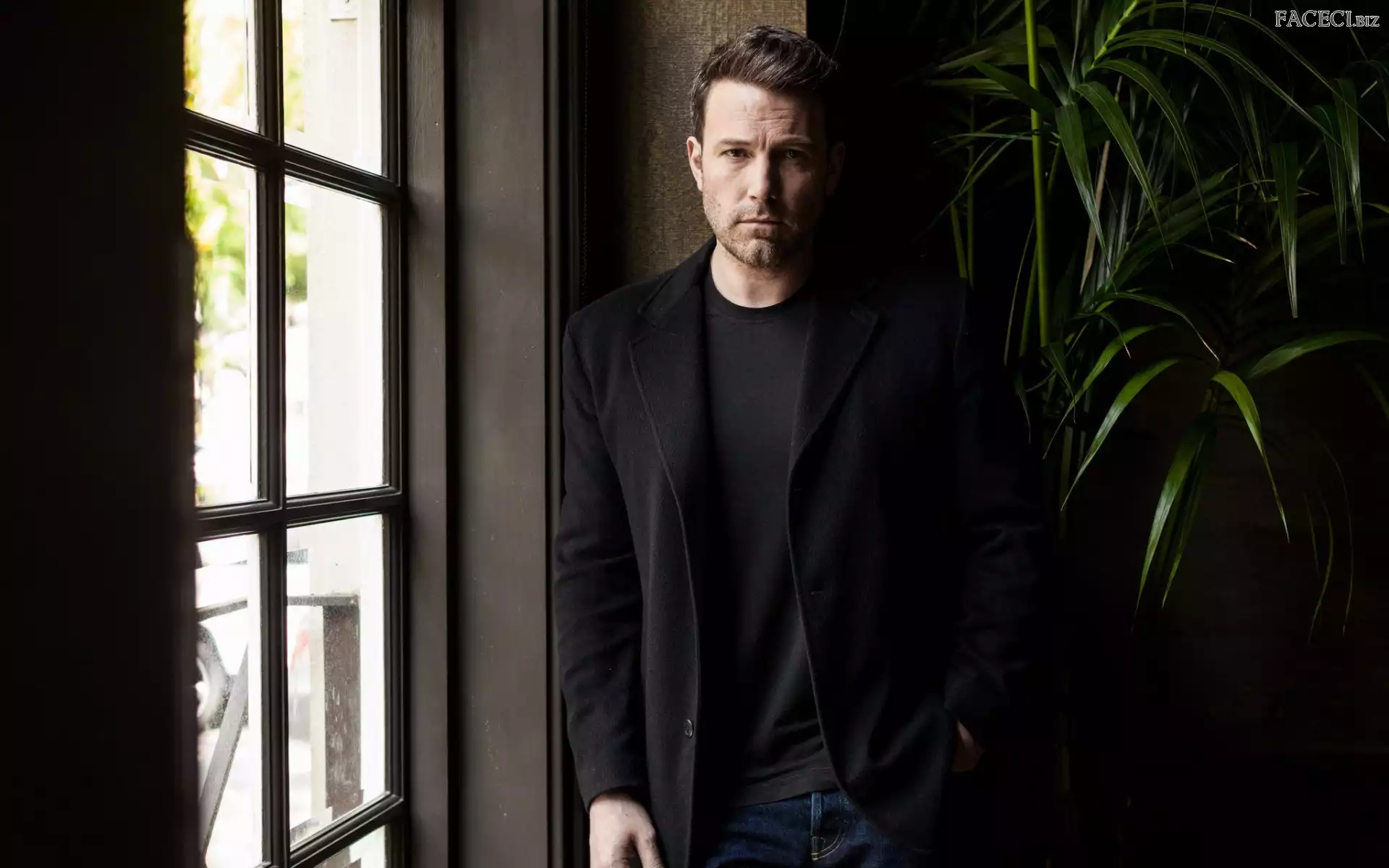Aktor, Roślina, Ben Affleck, Okno